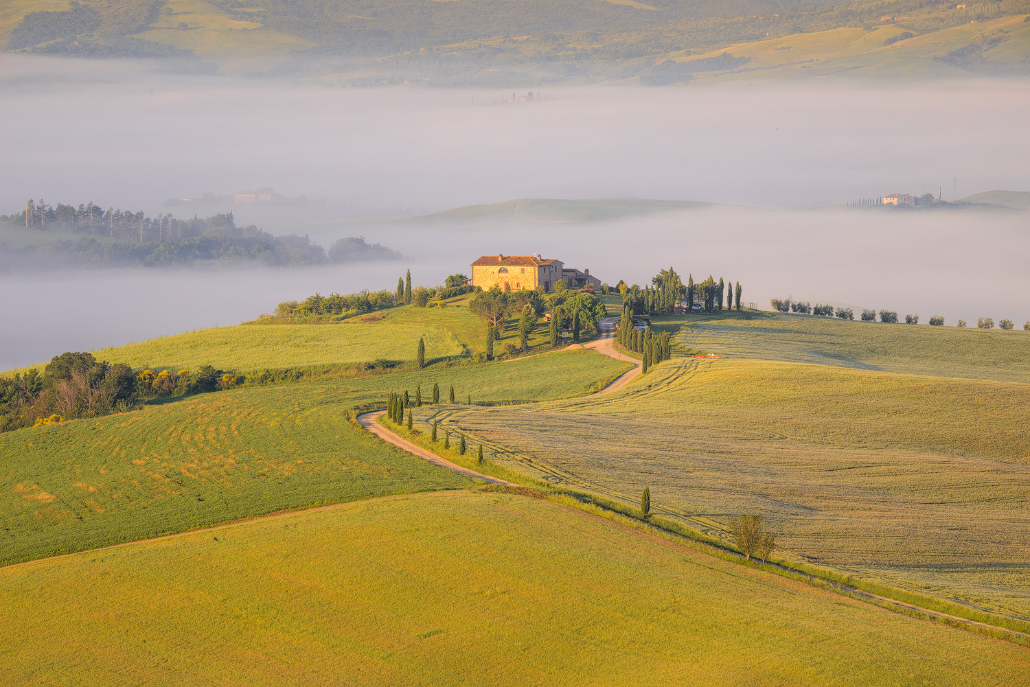 Parco Naturale della Val d'Orcia, Toscana (Siena)