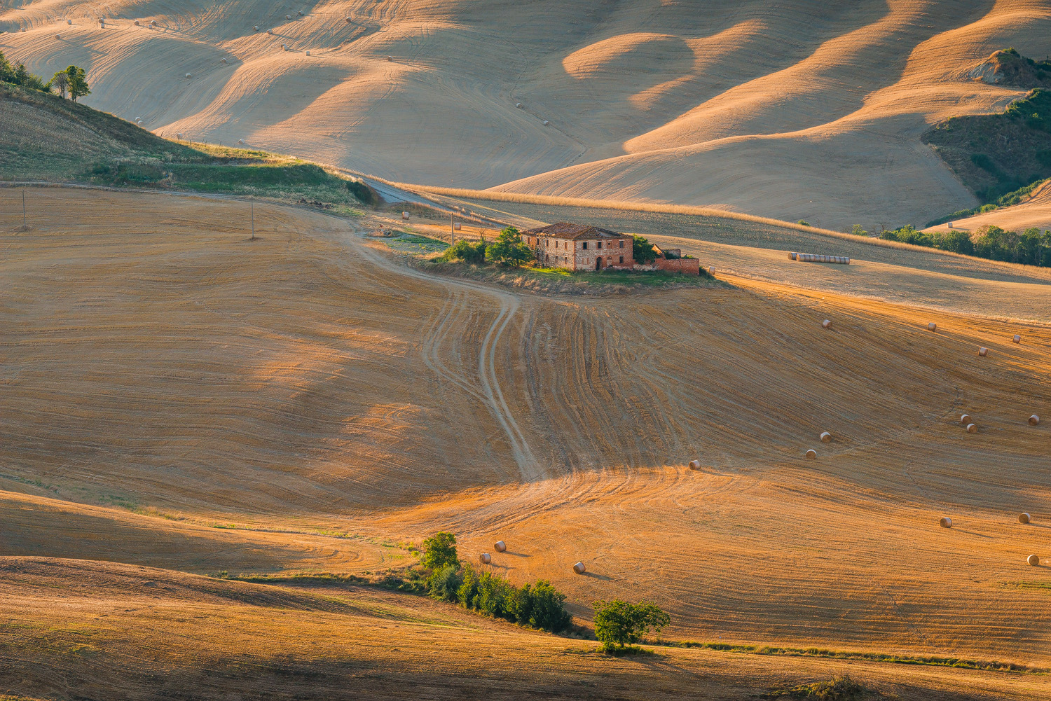 Nei pressi di Asciano, cuore delle Crete senesi. Toscana (Siena)