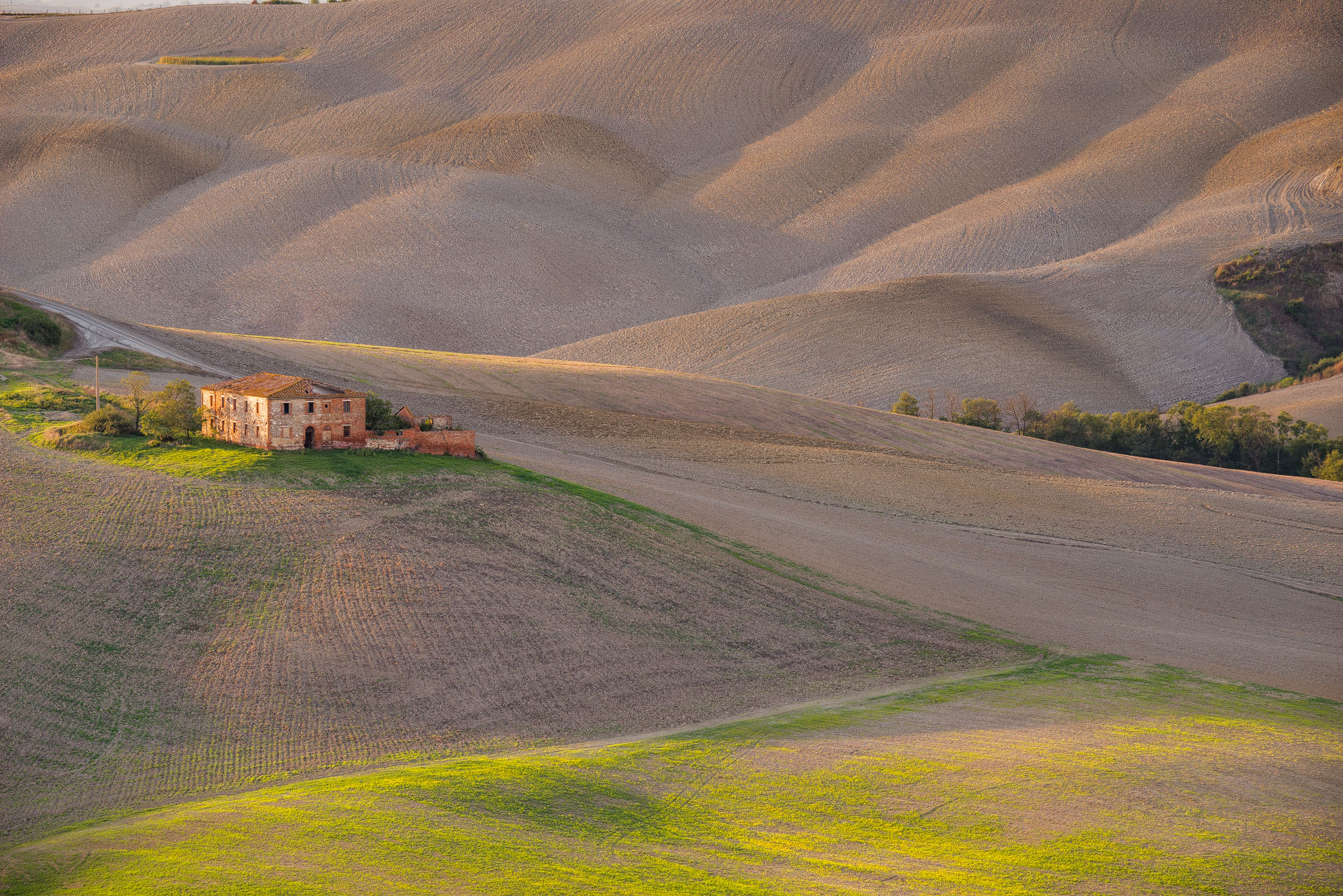 Nei pressi di Asciano, cuore delle Crete Senesi. Toscana (Siena)